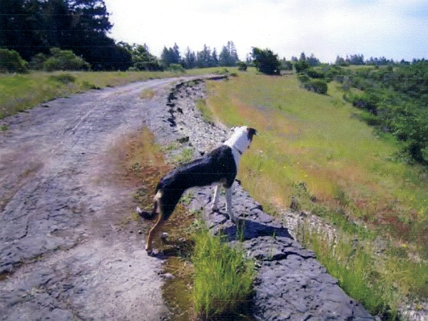 File:Walrath-mine-road.jpg